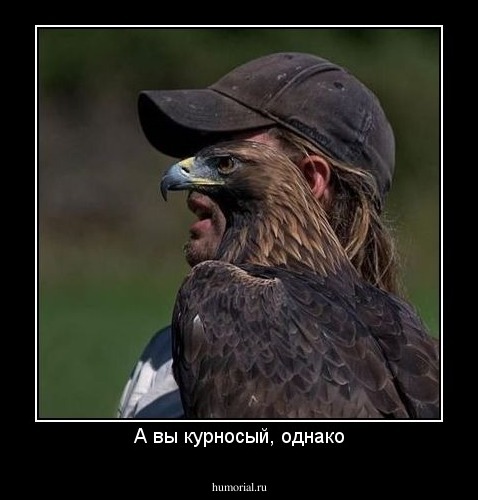 А вы курносый, однако