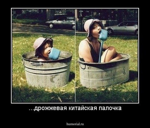 ...дрожжевая китайская палочка