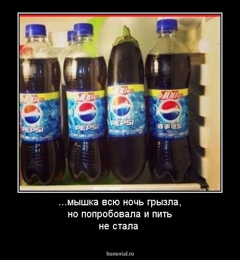...мышка всю ночь грызла, но попробовала и пить не стала