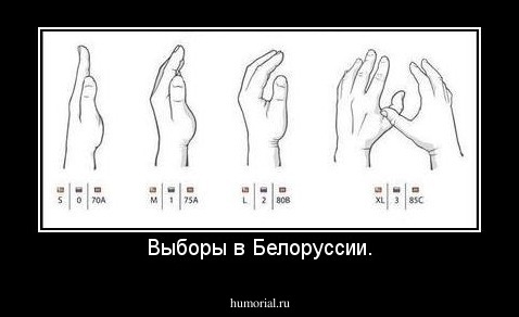 Выборы в Белоруссии.