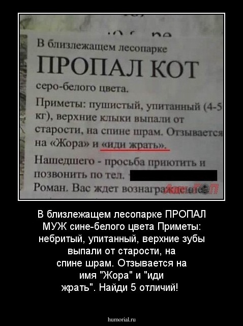 В близлежащем лесопарке
ПРОПАЛ МУЖ
сине-белого цвета
Приметы: небритый, упитанный, верхние зубы выпали от старости, на спине шрам. Отзывается на имя "Жора" и "иди жрать".

Найди 5 отличий!