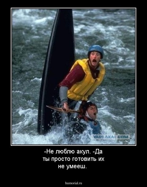 -Не люблю акул. -Да ты просто готовить их не умееш.