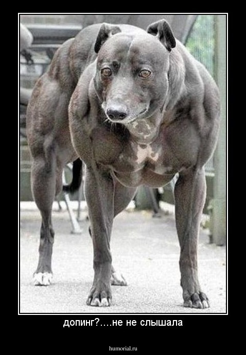 допинг?....не не слышала