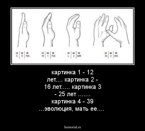 картинка 1 - 12 лет.... картинка 2 - 16 лет..... картинка 3 - 25 лет ....... картинка 4 - 39 ...эволюция, мать ее....