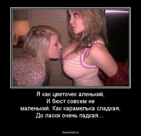 Я как цветочек аленький, И бюст совсем не маленький. Как карамелька сладкая, До ласки очень падкая...