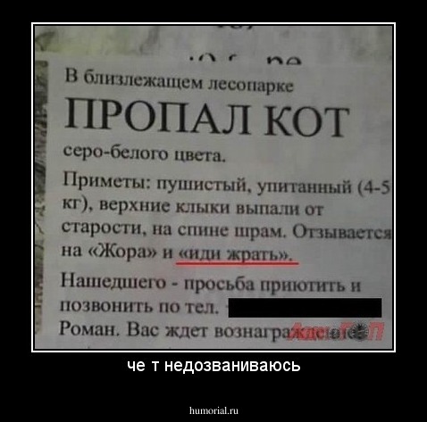 че т недозваниваюсь