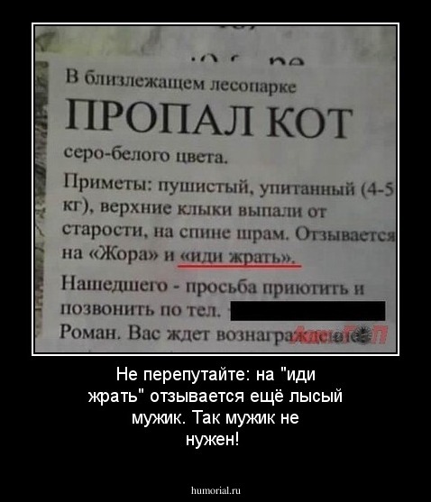 Не перепутайте: на "иди жрать" отзывается ещё лысый мужик. Так мужик не нужен!