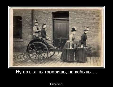 Ну вот...а ты говоришь, не кобылы....