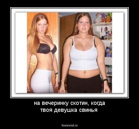 на вечеринку скотин, когда твоя девушка свинья