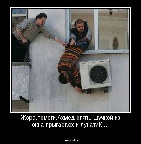 Жора,помоги,Ахмед опять щучкой из окна прыгает,ох и лунатиК...