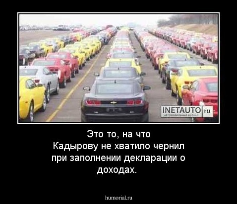 Это то, на что Кадырову не хватило чернил при заполнении декларации о доходах.