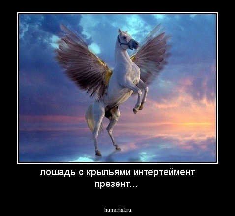 лошадь с крыльями интертеймент презент...