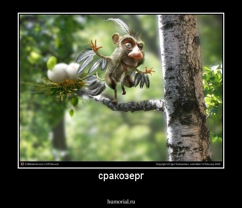 сракозерг