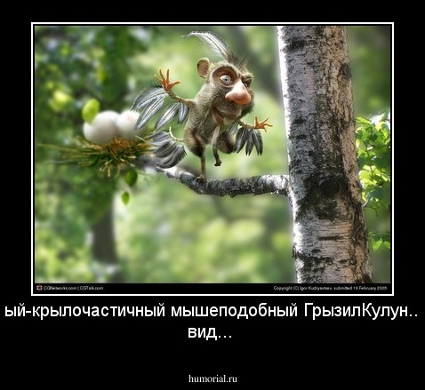 носочеловечный-крылочастичный мышеподобный ГрызилКулун...очень редкий вид...