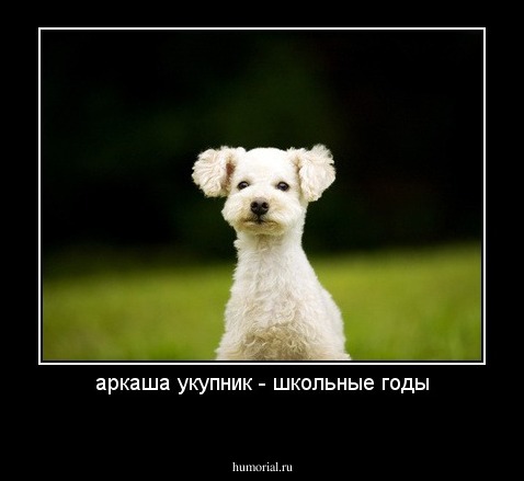 аркаша укупник - школьные годы
