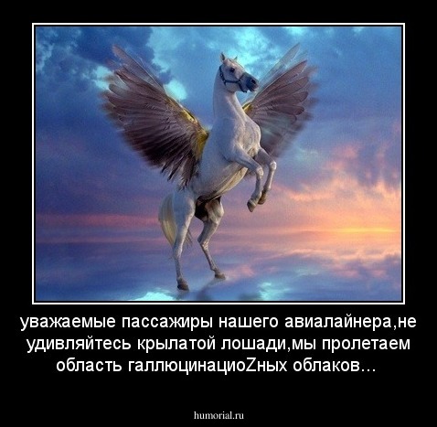 уважаемые пассажиры нашего авиалайнера,не удивляйтесь крылатой лошади,мы пролетаем область галлюцинациоZных облаков...