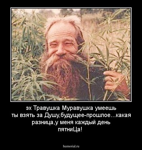 эх Травушка Муравушка умеешь ты взять за Душу,будущее-прошлое...какая разница,у меня каждый день пятниЦа!
