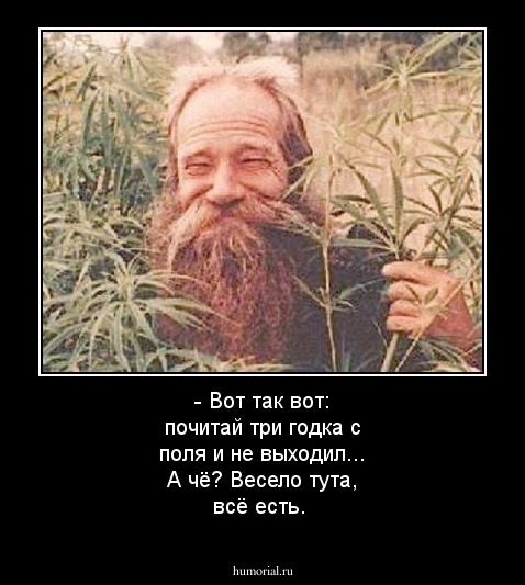 - Вот так вот: почитай три годка с поля и не выходил... А чё? Весело тута, всё есть.