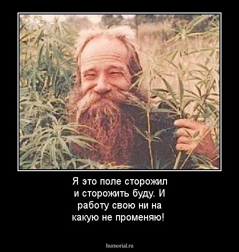 Я это поле сторожил и сторожить буду. И работу свою ни на какую не променяю!