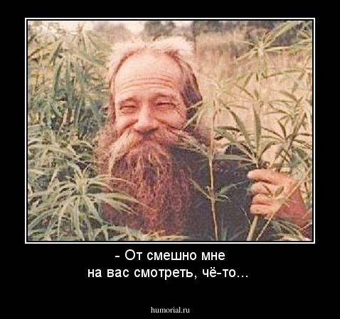 - От смешно мне на вас смотреть, чё-то...