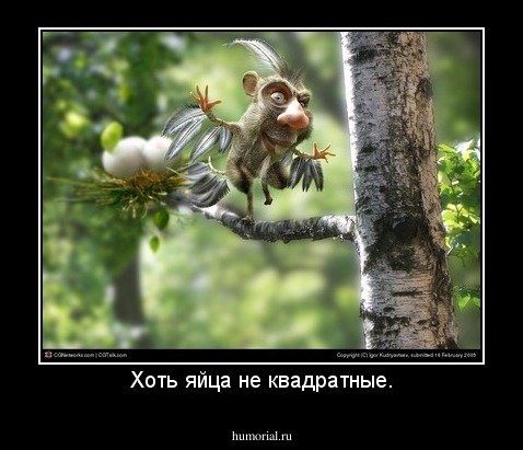 Хоть яйца не квадратные.