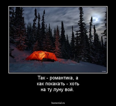 Так - романтика, а как покакать - хоть на ту луну вой.