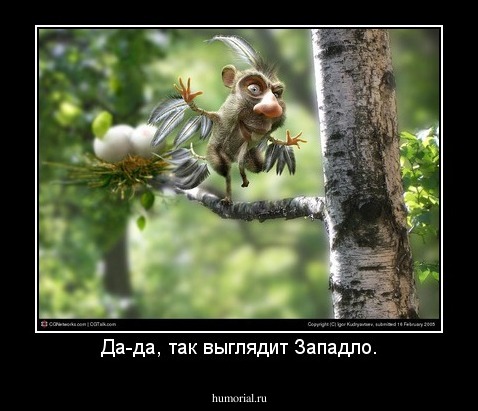 Да-да, так выглядит Западло.