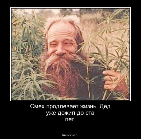Смех продлевает жизнь. Дед уже дожил до ста лет