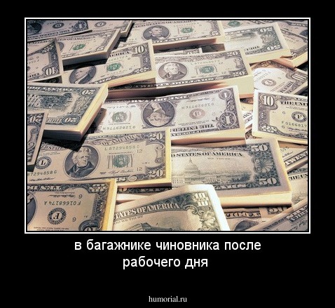 в багажнике чиновника после рабочего дня