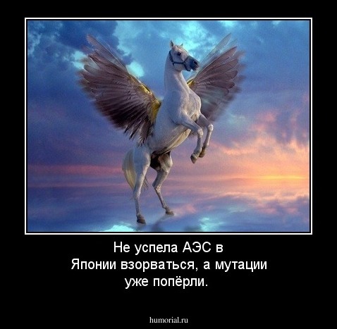 Не успела АЭС в Японии взорваться, а мутации уже попёрли.