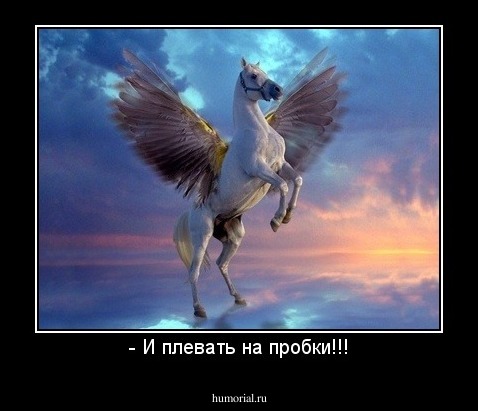- И плевать на пробки!!!