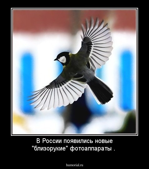 В России появились новые "близорукие" фотоаппараты .