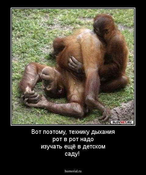 Вот поэтому, технику дыхания рот в рот надо изучать ещё в детском саду!