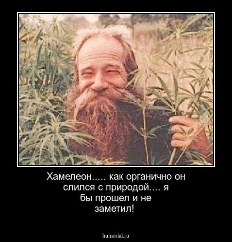 Хамелеон..... как органично он слился с природой.... я бы прошел и не заметил!  