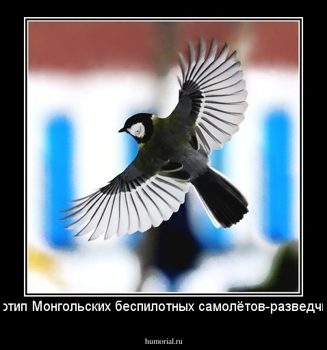 Прототип Монгольских беспилотных самолётов-разведчиков.