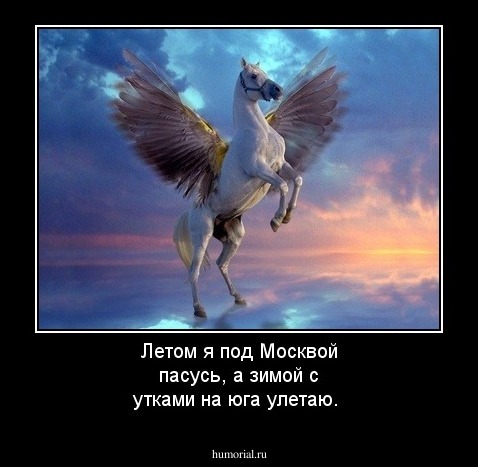 Летом я под Москвой пасусь, а зимой с утками на юга улетаю.