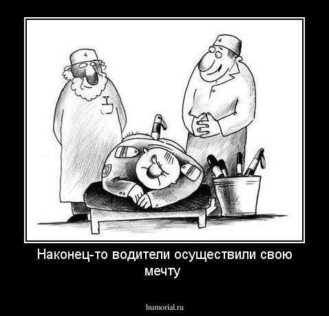 Наконец-то водители осуществили свою мечту