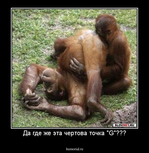 Да где же эта чертова точка "G"???