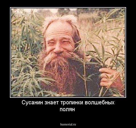 Сусанин знает тропинки волшебных полян