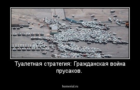 Туалетная стратегия: Гражданская война прусаков.