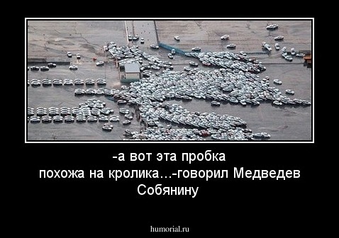 -а вот эта пробка похожа на кролика...-говорил Медведев Собянину
