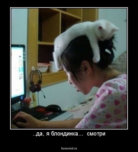 ..да, я блондинка...  смотри