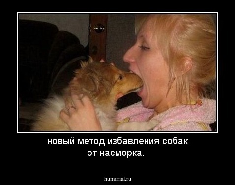 новый метод избавления собак от насморка.
