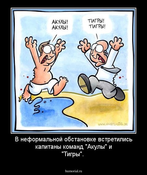 В неформальной обстановке встретились капитаны команд "Акулы" и "Тигры".