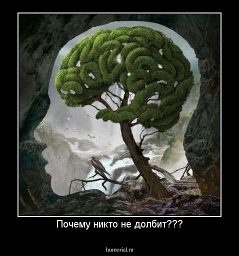 Почему никто не долбит???