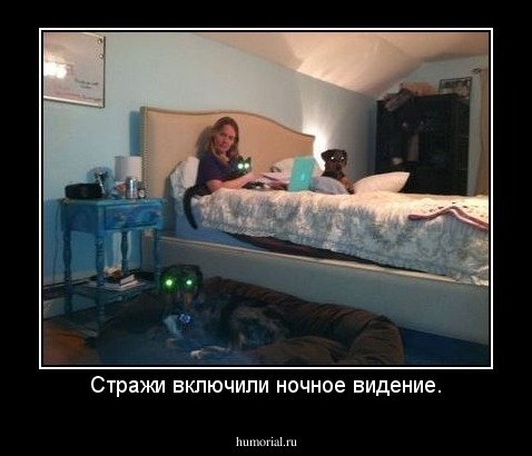 Стражи включили ночное видение.