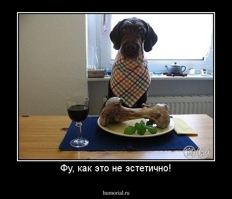 Фу, как это не эстетично!