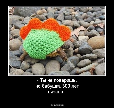 - Ты не поверишь, но бабушка 300 лет вязала.