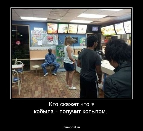 Кто скажет что я кобыла - получит копытом.