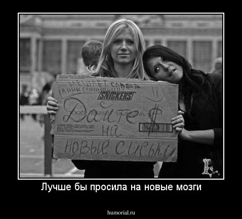 Лучше бы просила на новые мозги